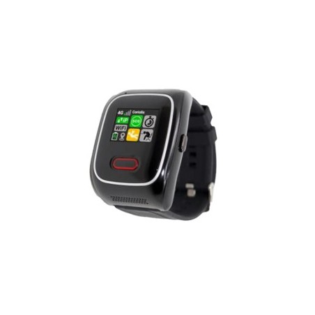 MONTRE BOITIER PTI - 4G - GPS